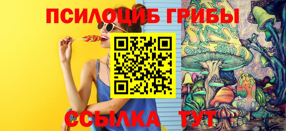 Галлюциногенные грибы прущие грибы Лесозаводск