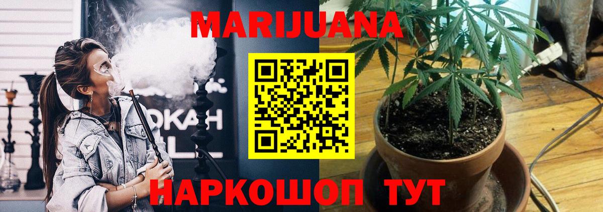 Бошки Шишки планчик Лесозаводск
